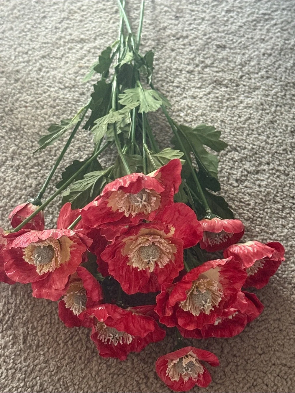 Red Hand Painted Poppy Stem Bouquet!